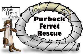 Purbeck Ferret Rescue